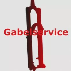 FOX 40 / 49 Federgabelservice